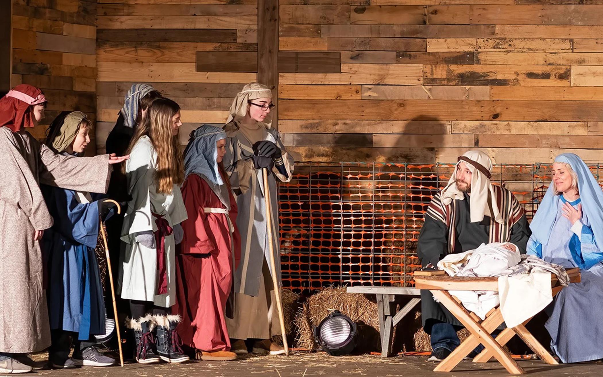 Live Animals Bring Spectacle and Humor to Nativity Scenes The Banner